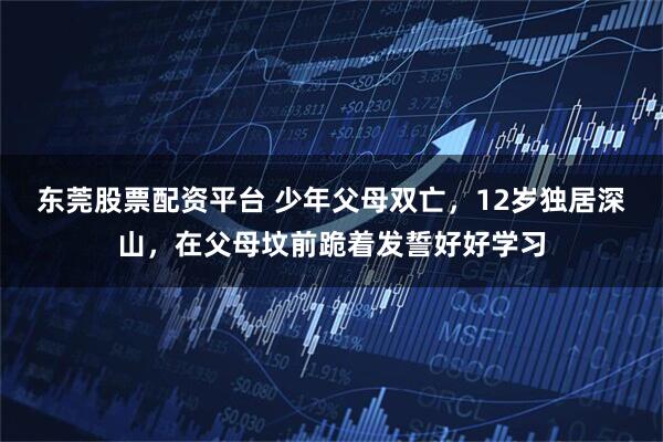 东莞股票配资平台 少年父母双亡，12岁独居深山，在父母坟前跪着发誓好好学习